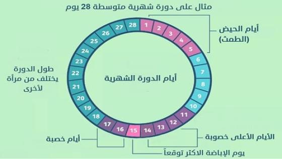 جدول ايام التبويض بعد الدورة بكم يوم